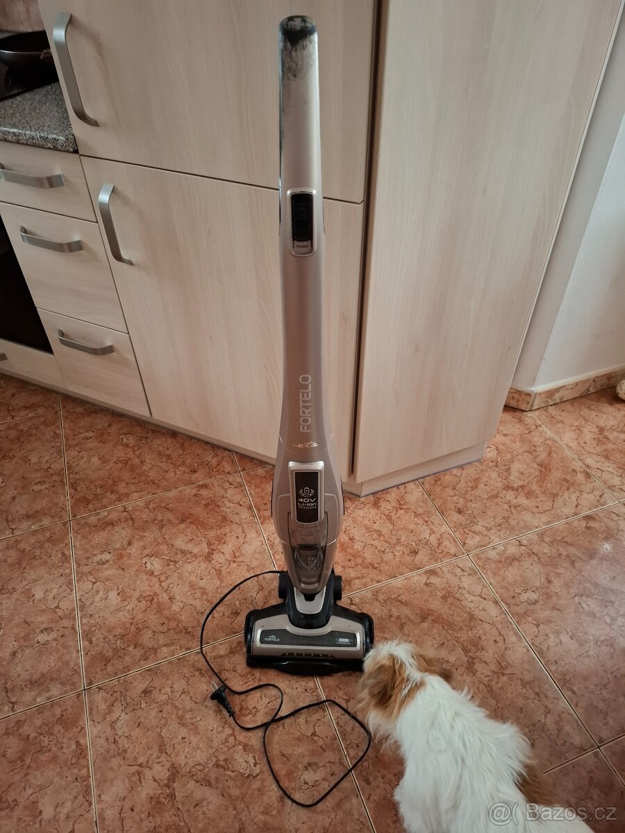 Tyčový vysavač Eta Fortelo - 2