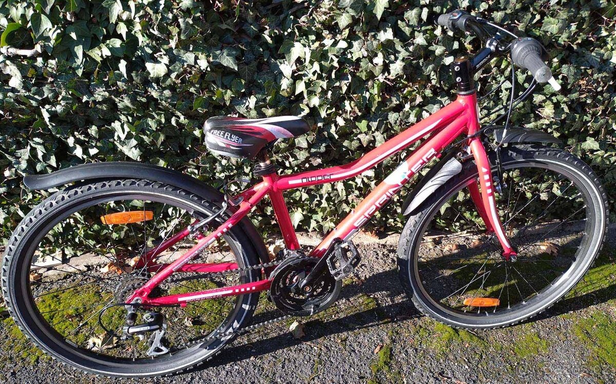 Prodám dětské kolo Nipper Sprinter - 2