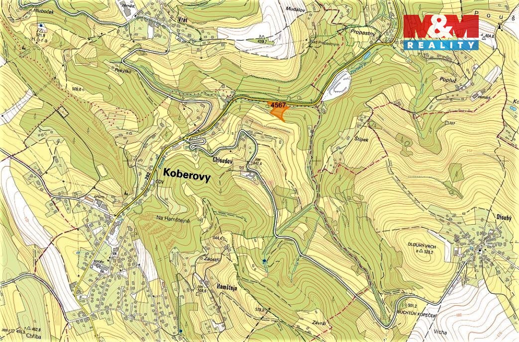Prodej lesa, 3547 m², Koberovy - 2