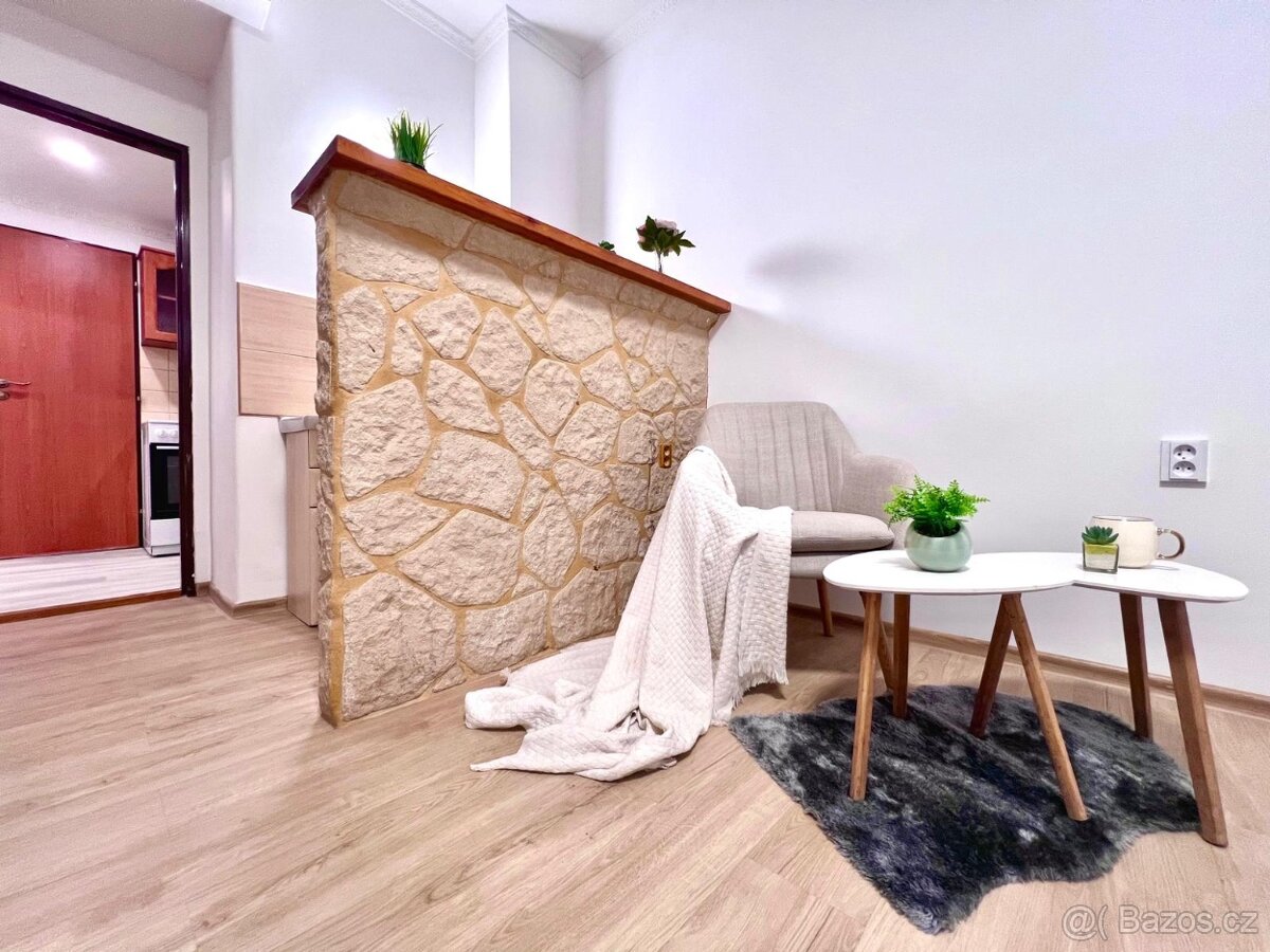 Ateliér 1+1 Žižkov - 2