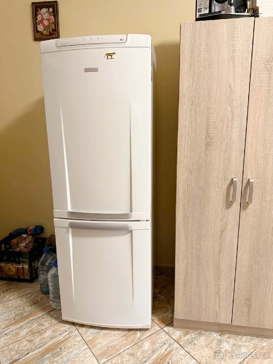 Lednice s mrazákem - 2