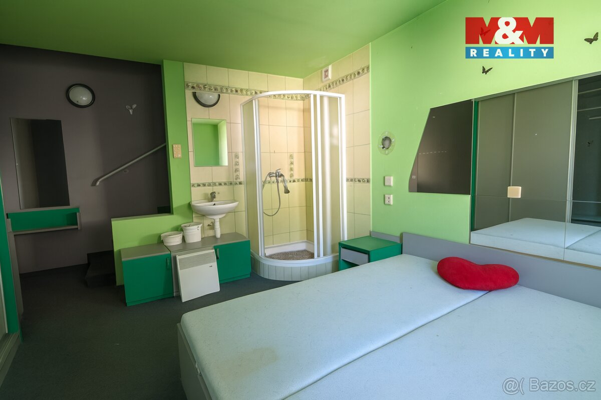 Prodej rodinného domu, 650 m², České Velenice - 20