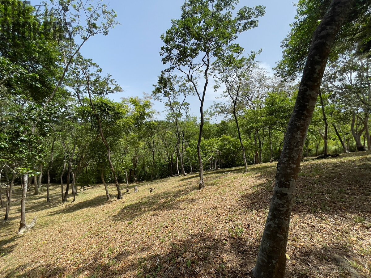 Lot 1 Bodden Bight Estate, Roatan - 20
