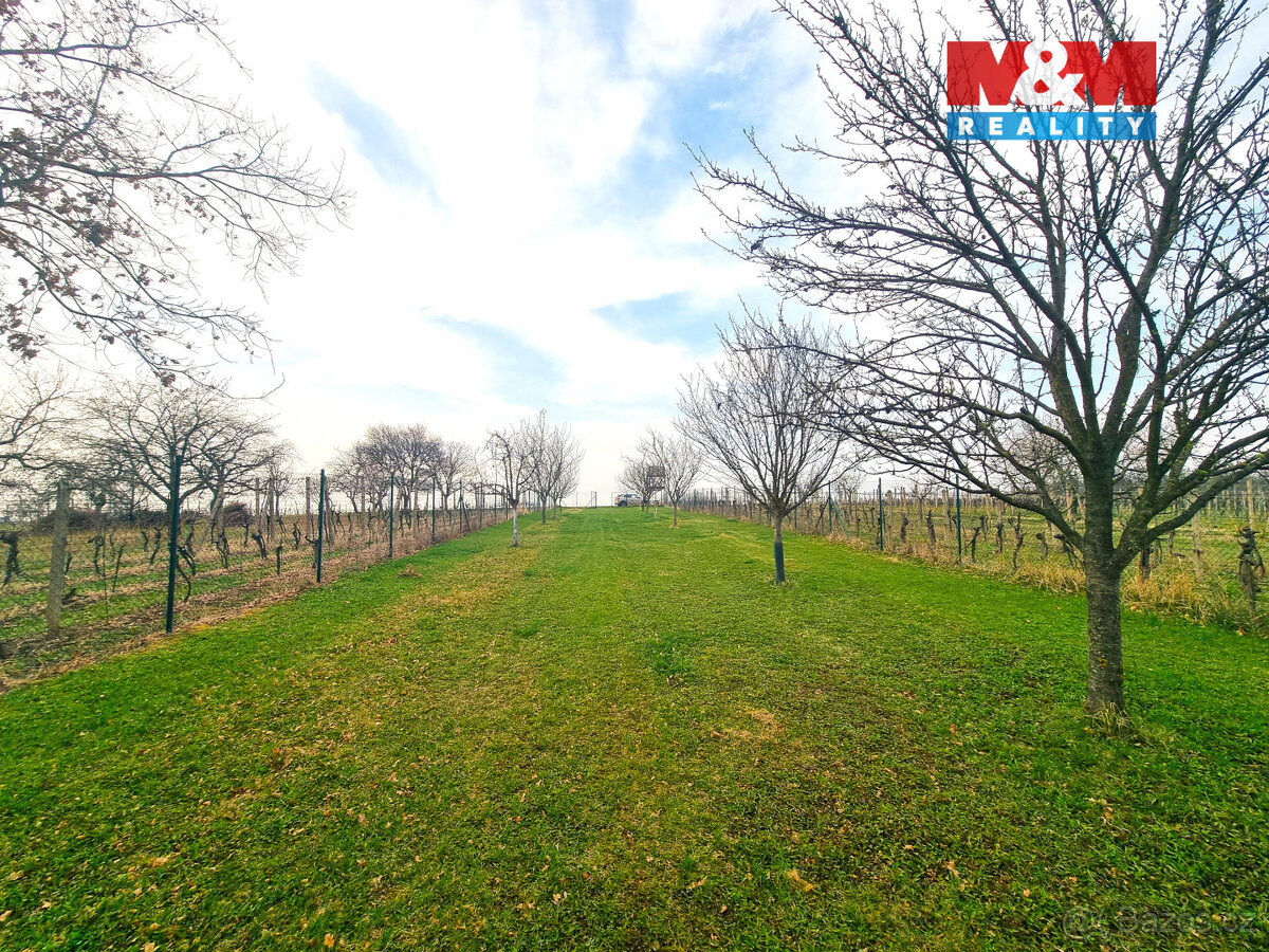 Prodej ovocného sadu, 4096 m², Starý Poddvorov - 20