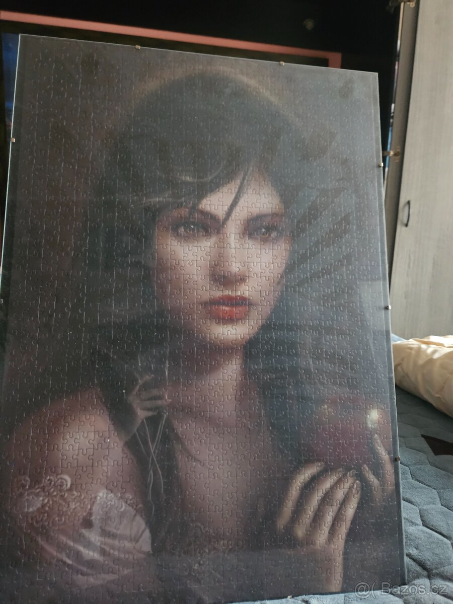 Obraz z puzzlí - 20