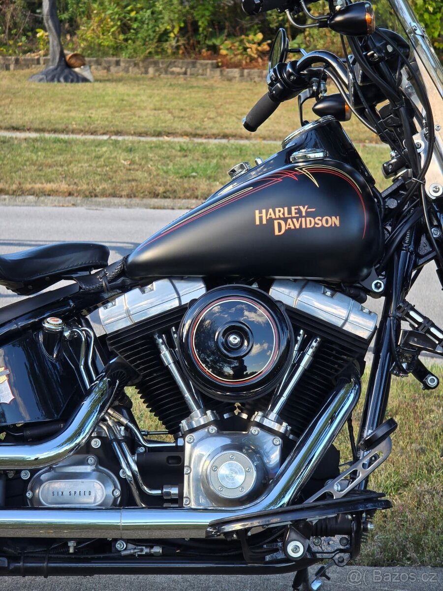 Harley-Davidson FLSTSB Softail Cross Bones 2008 - 20