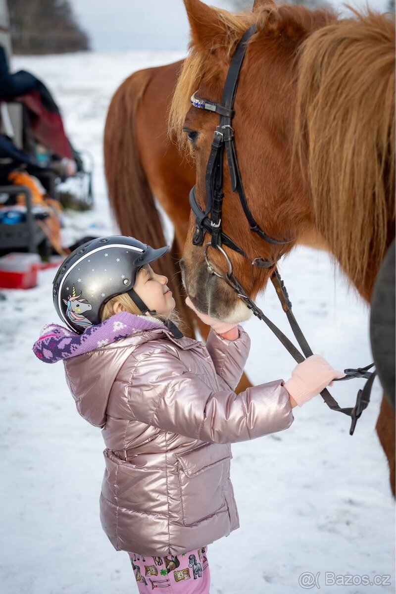 WPBR kobyla i pro začátečníky - 20