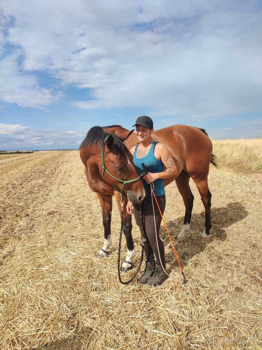 PASOVÁNÍ botiček Scoot Boots : - 20