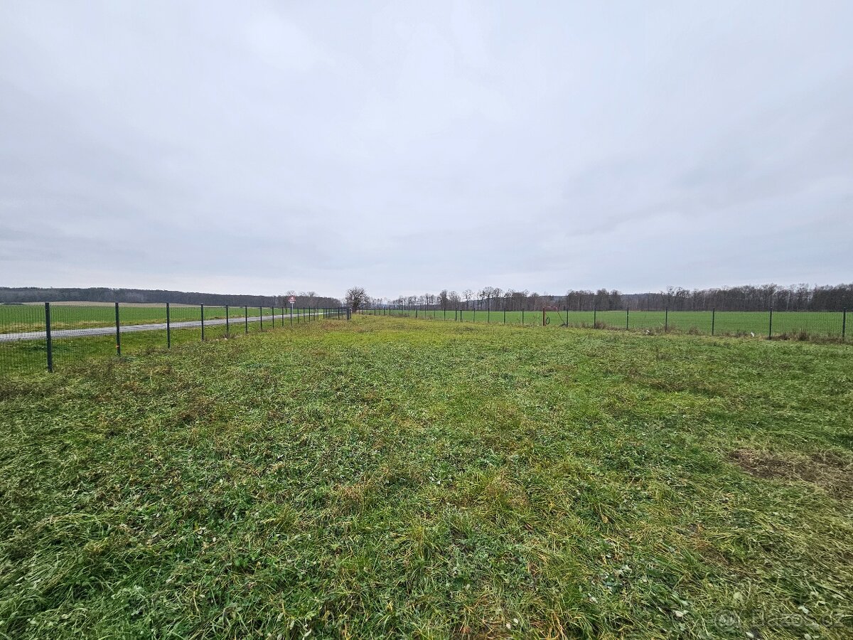 Nabízíme na pronájmem pozemek vhodný na autobazar, parkování - 20