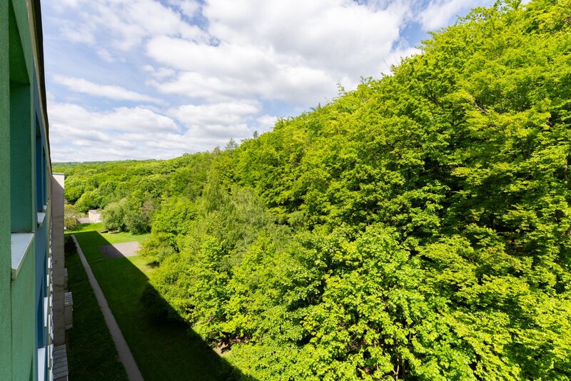 Prodej bytu 4+1 s lodžií a garáží, ul. Luční, Litvínov - Jan - 20