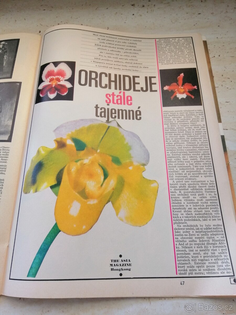 Časopis 100 +1 - 20