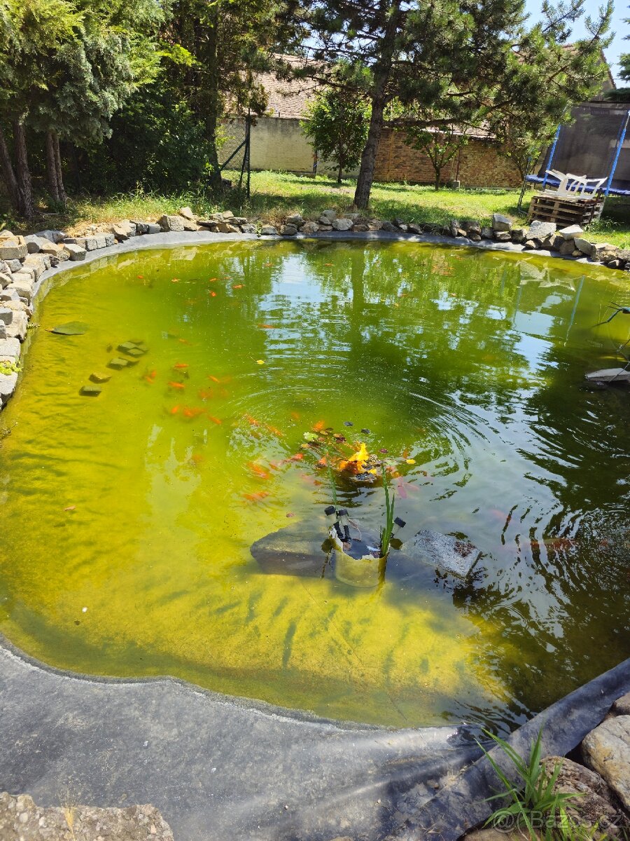 Prodám Rodinný dům 4+1+ Garáž + stavební pozemek - 20