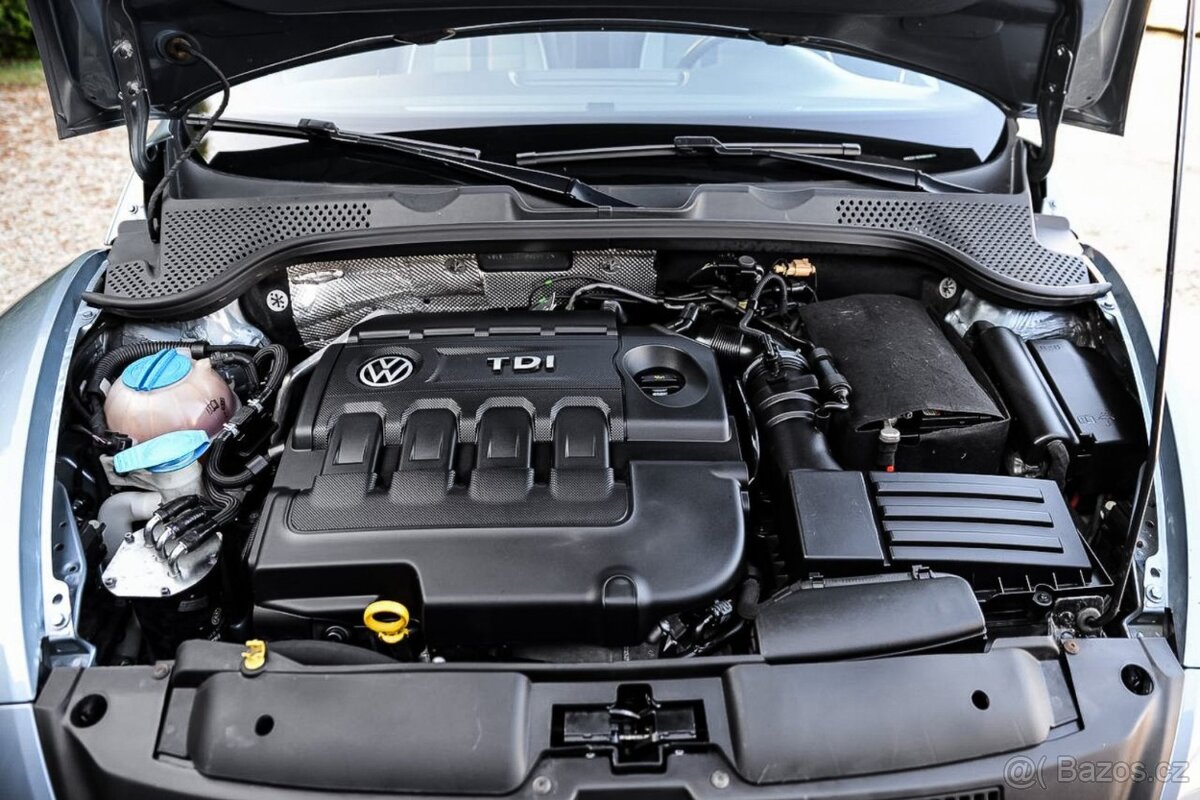 Volkswagen Beetle 2.0 TDI DPH - 20