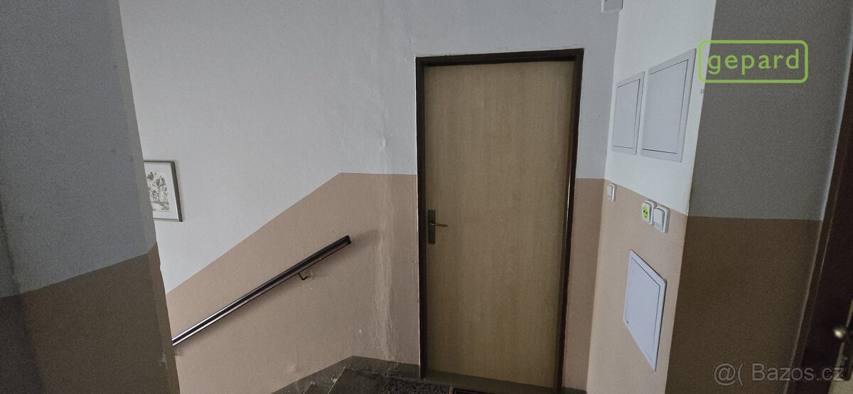 Zděný byt se sklepem a podílem na pozemku - Jírovcova ulice - 20