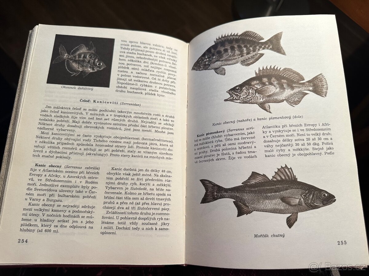 Světem zvířat - 20