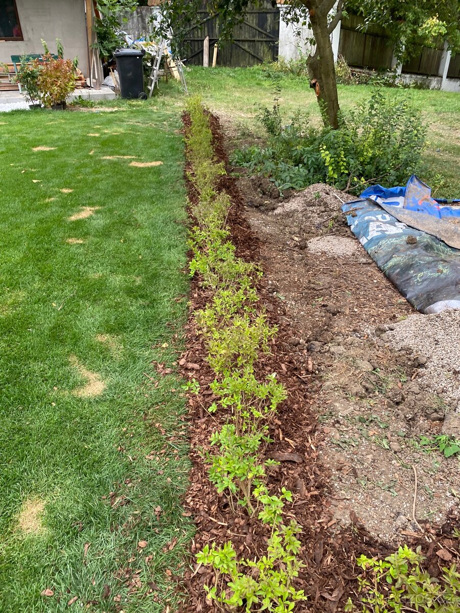 Sekání trávy, údržba zahrad - 20