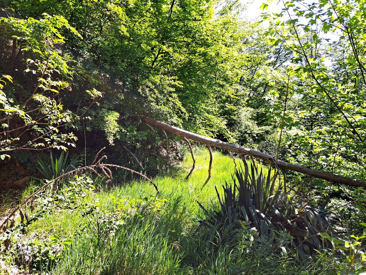 Srub nad Sázavou 3+kk, 74m2, pozemky 1140 m2, Kaliště - 20