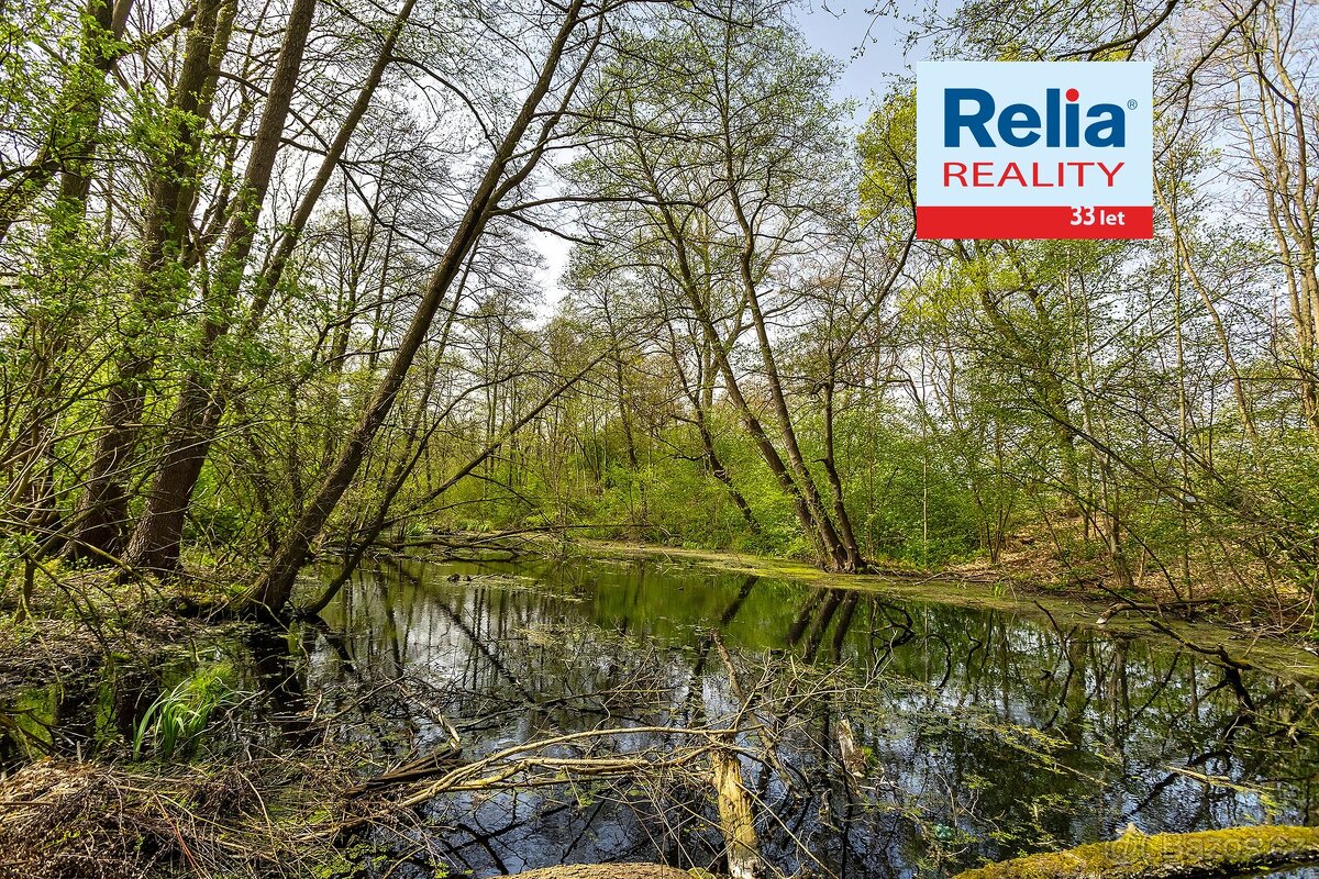 Statek s lesem a vodní plochou v Černé u Bohdanče, 10.458 m² - 20