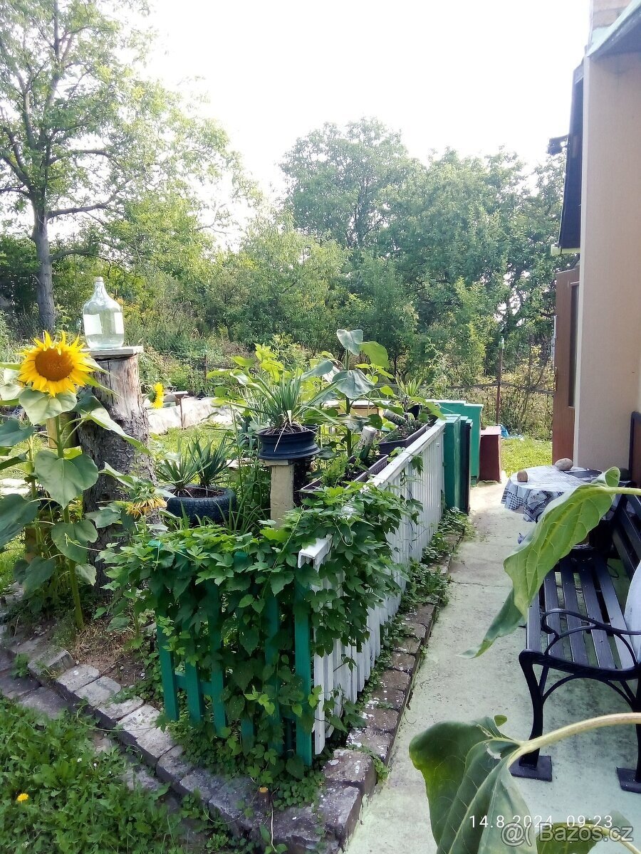 Parcela,zahrada,chatka - 20