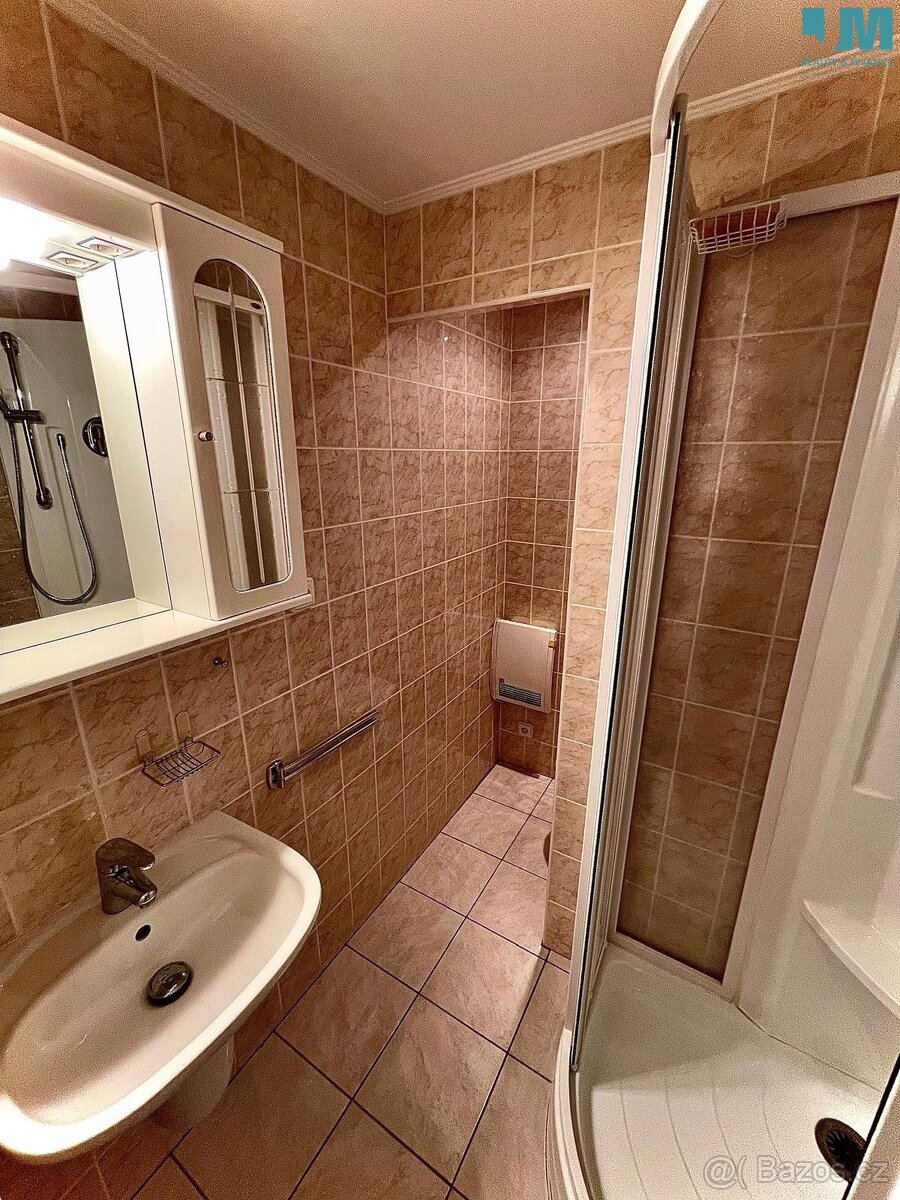 Pronájem bytu 1+1 41 m², Třebíč - Nové Dvory, ev.č. 01906 - 20