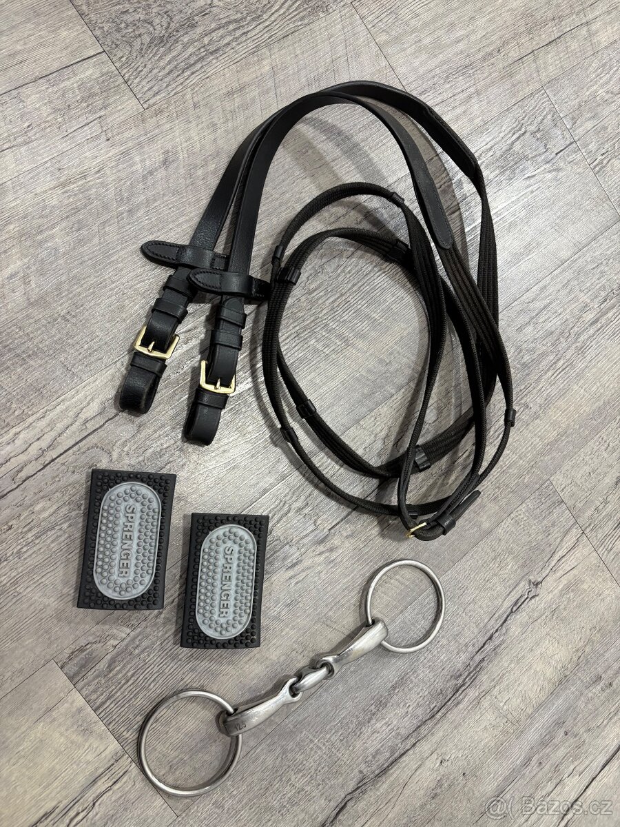 Kentucky, Lemieux, Zandona atd - 20