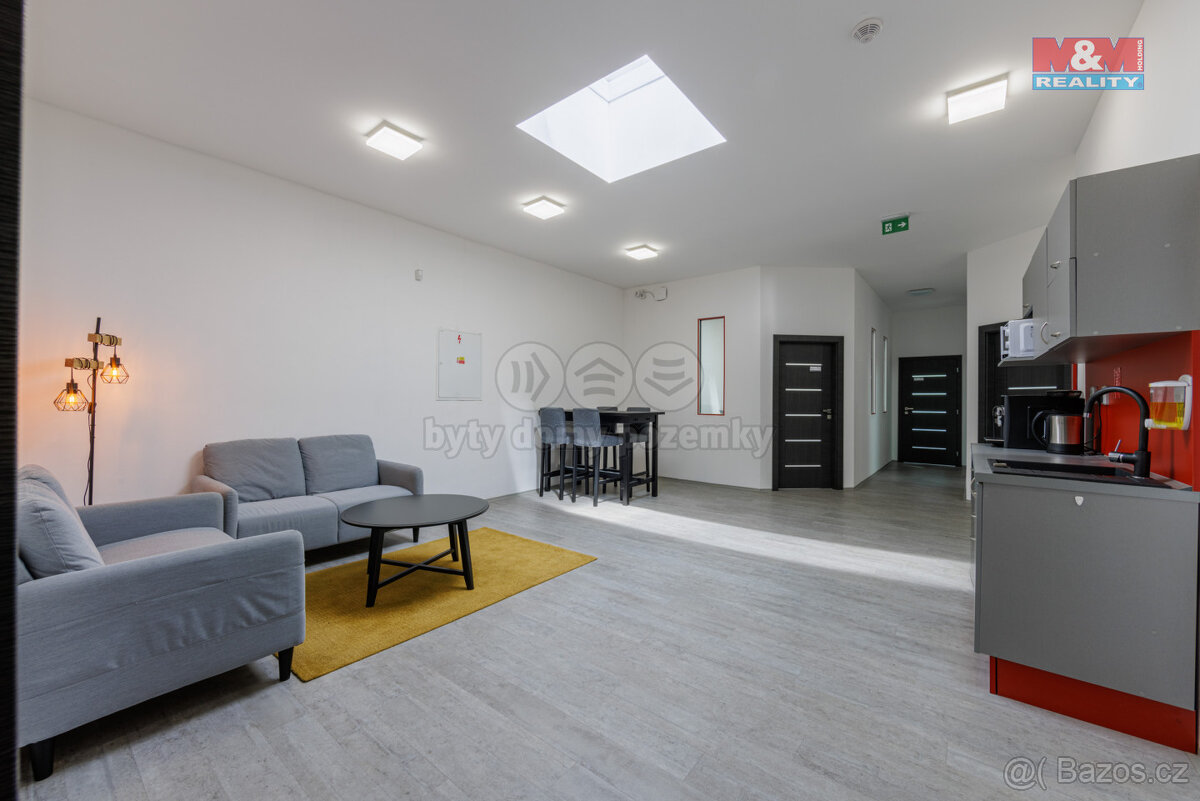 Pronájem výrobního objektu, 1829 m², Dolní Rychnov - 20