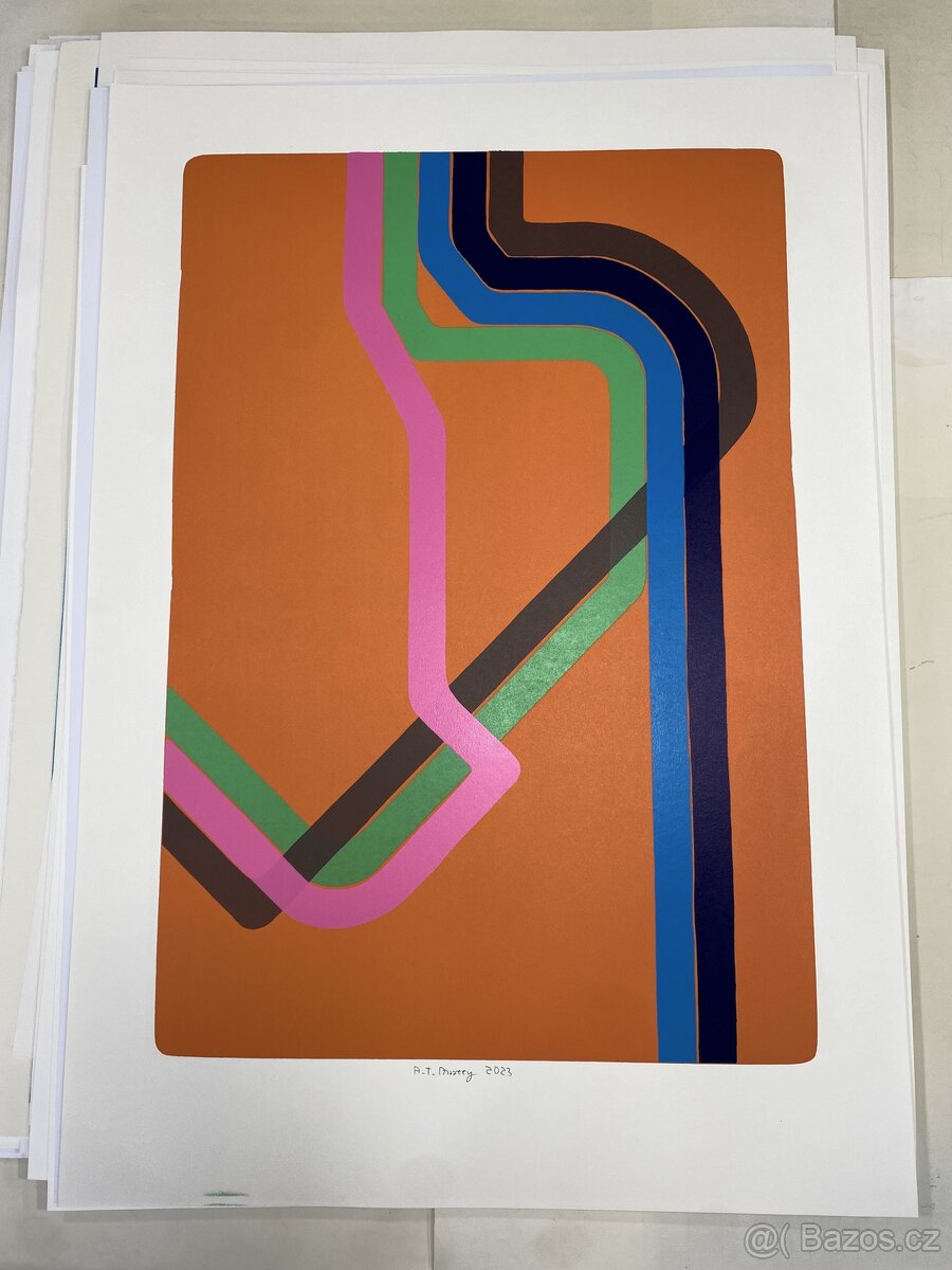 Jan Saudek litografie celek - 20