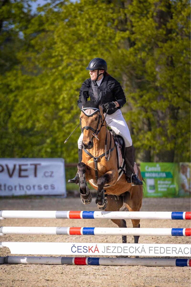 Pasování botek pro koně: - 20