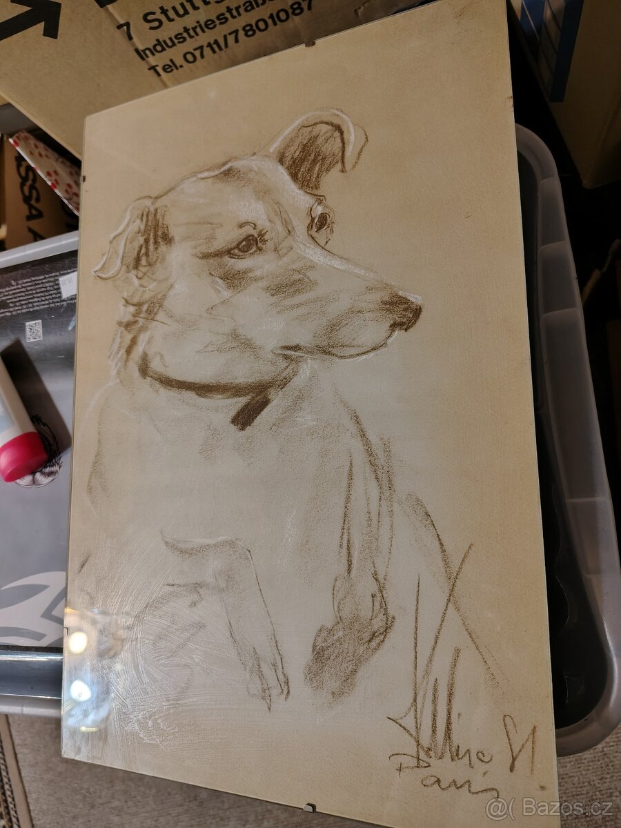 Krabice plná obrázků/obrazů - 20