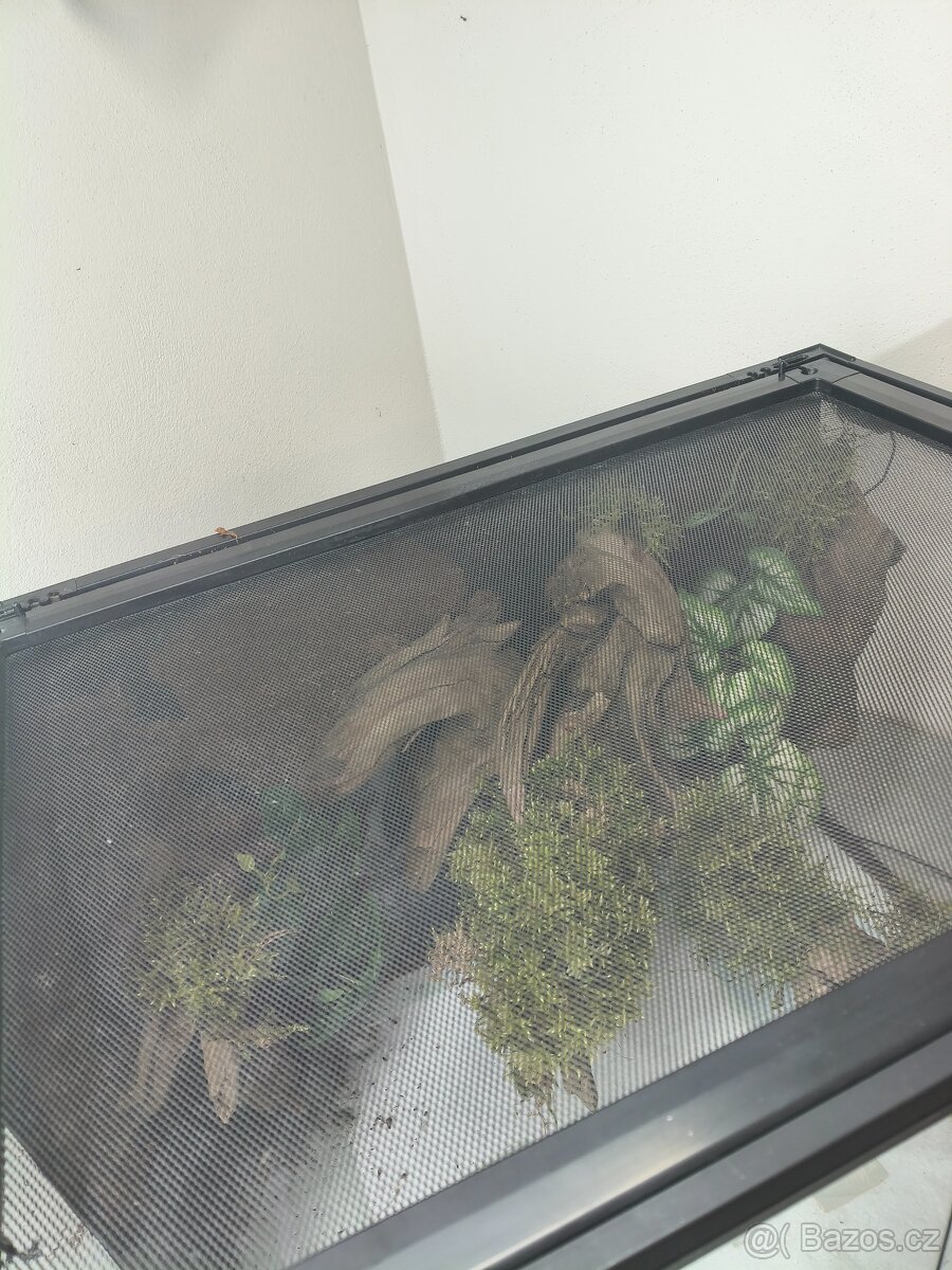 Terárium velké 60x45x45 - 20