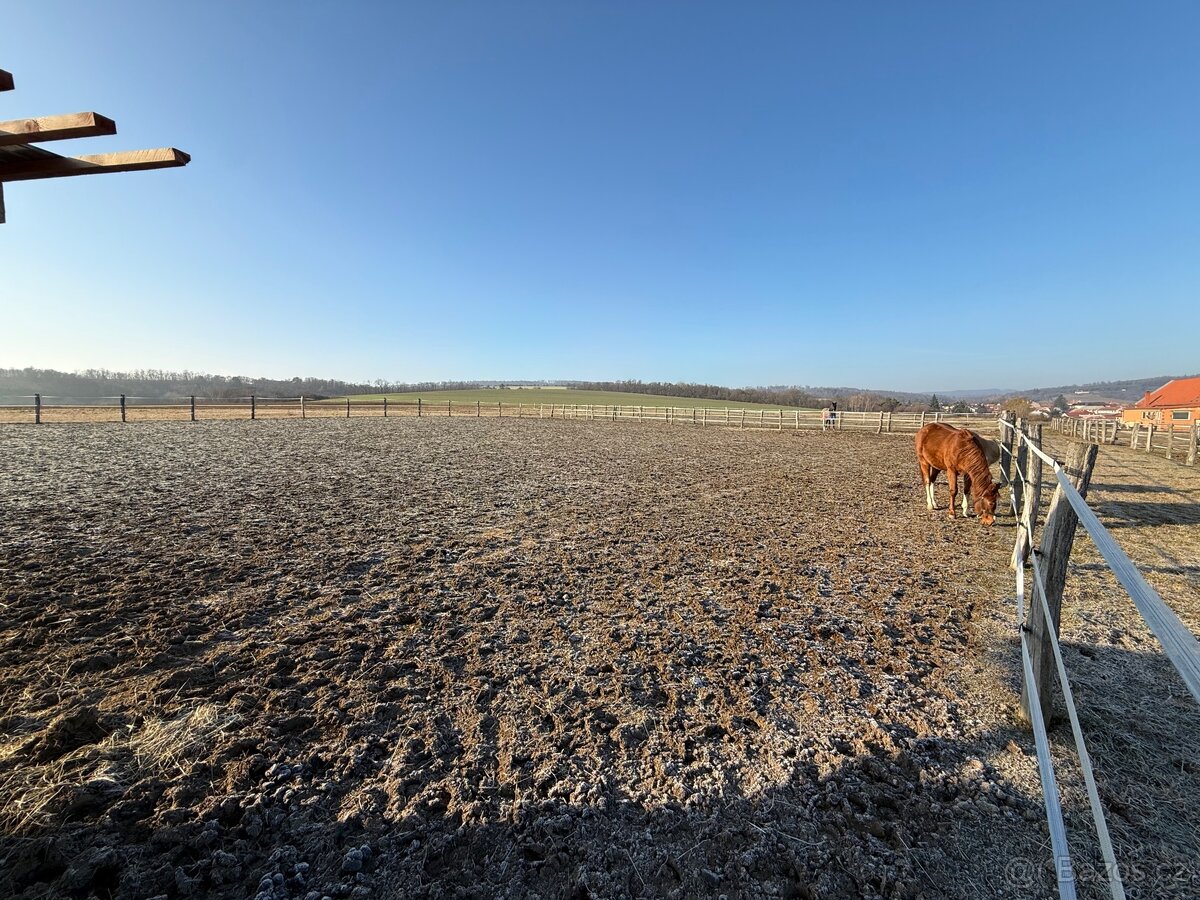 Ustájení koní - box - 20