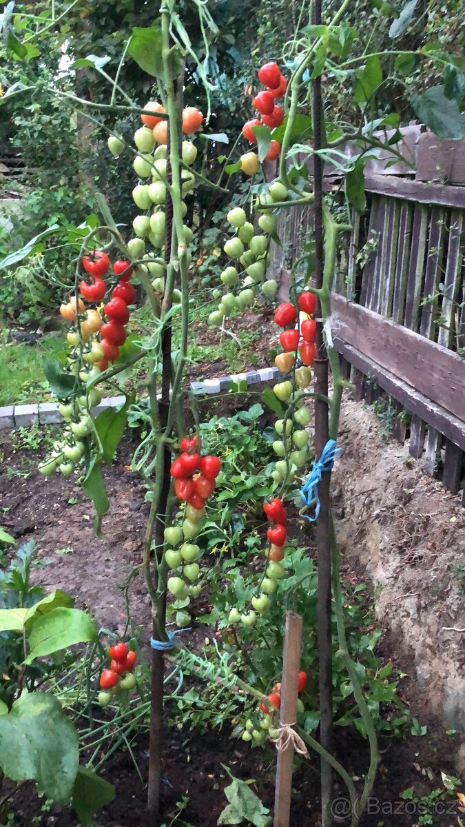 CHATA RABYNE, SLAPY - 20