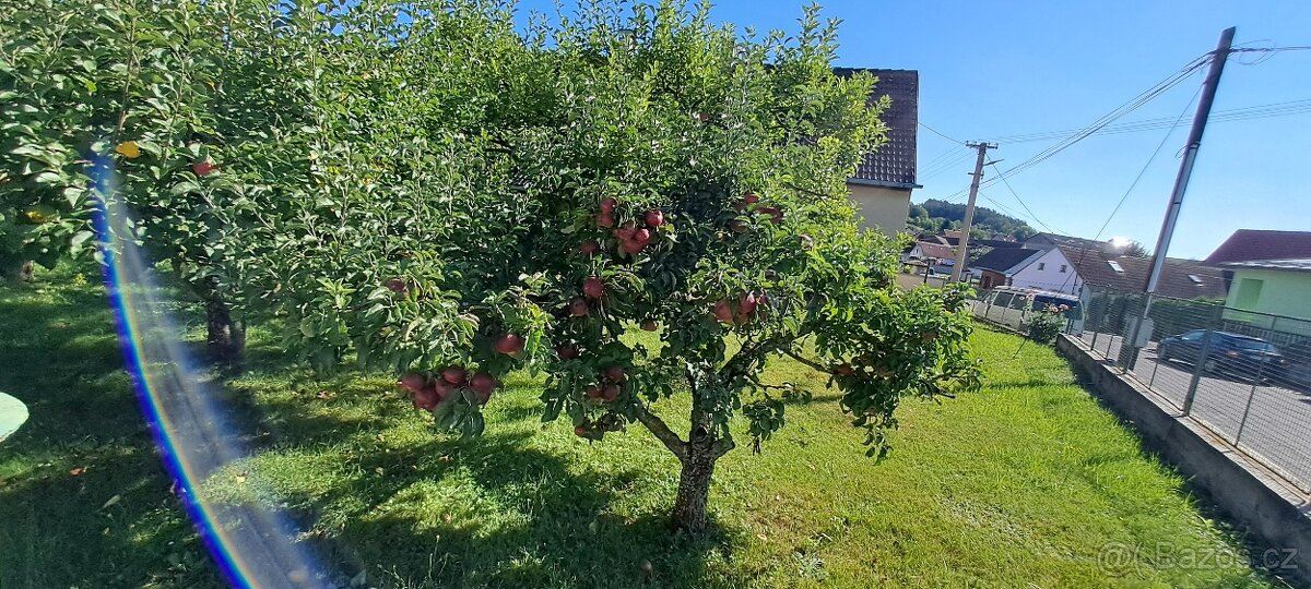 Prodej rodinného domu v Nezamyslicích - 20