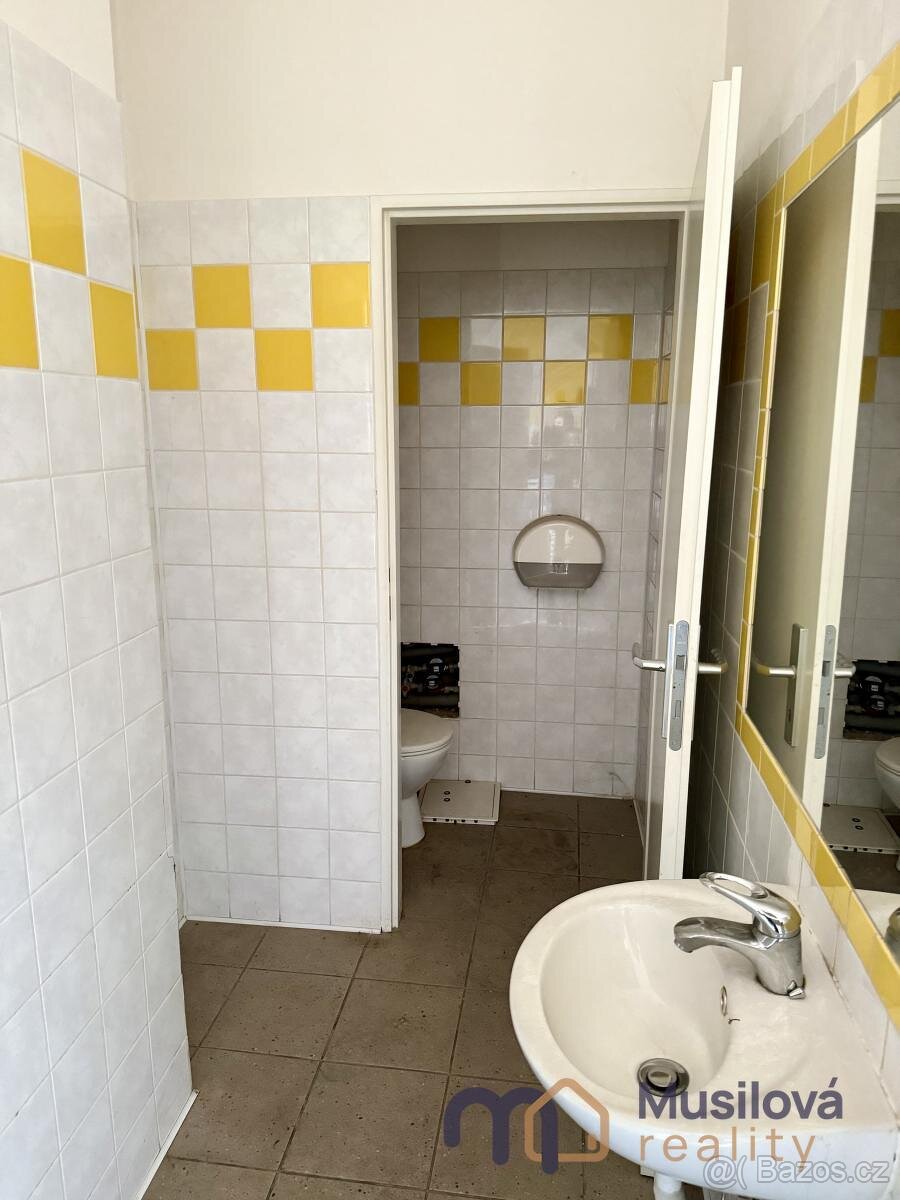 Pronájem obchodního prostoru 65 m2 - 20