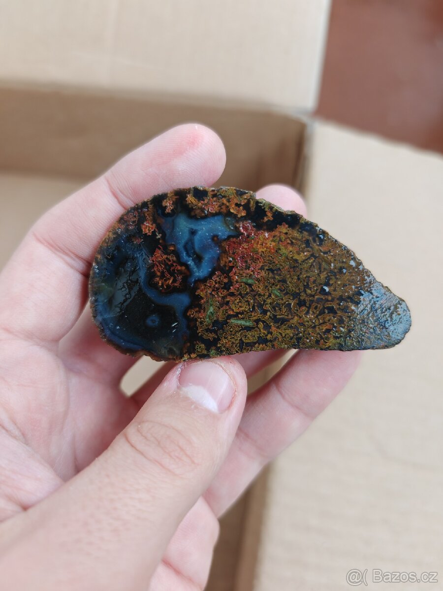 Acháty řezy Timor - 20