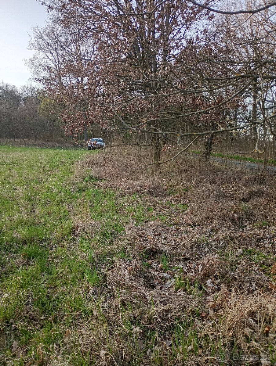 Krásný pozemek v luxusní přírodě. Neváhejte: Les, louka.... - 20