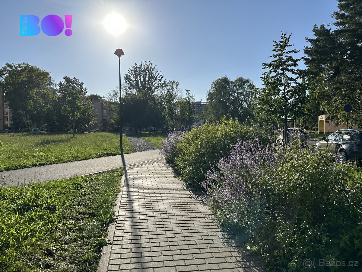 Prodej bytu 2+1, Ostrava - Zábřeh - 20