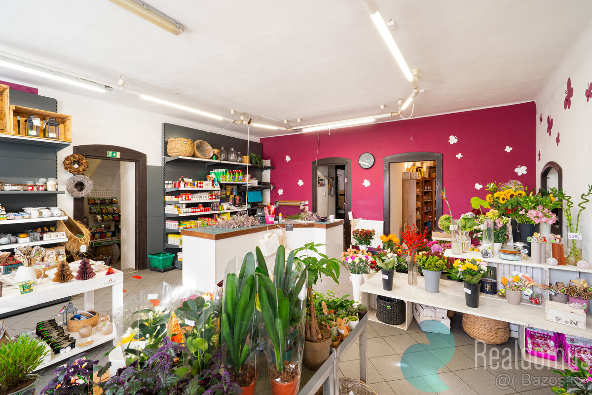 Prodej, rodinný dům, komerční prostory, Trhové Sviny, okr. Č - 20