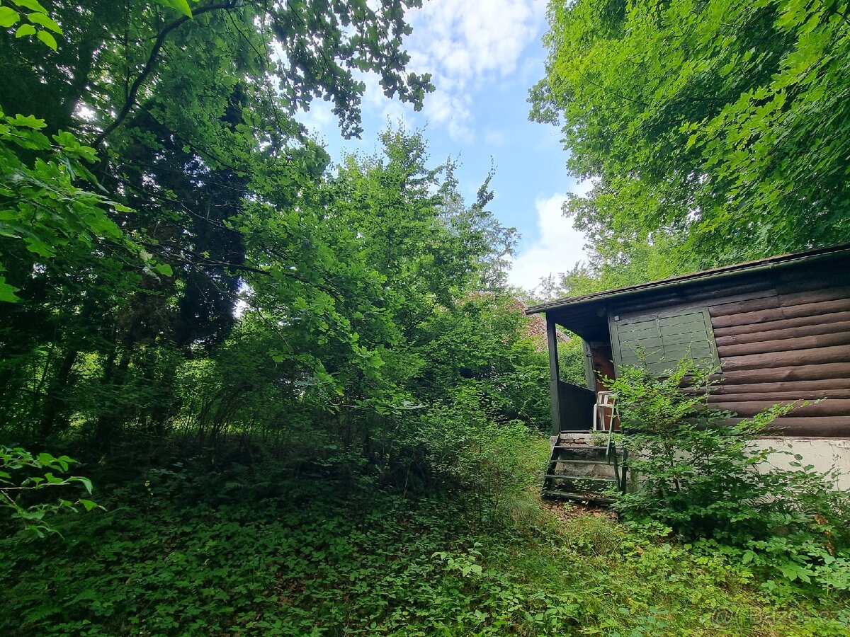 Prodej chaty v CHKO Železné hory - 20