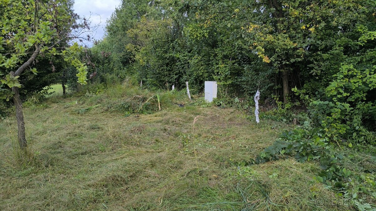 pronajem zahrady P R O N A J A T O volne 2/2026 - 20