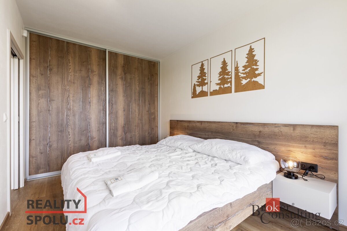 Prodej, byty/2+kk, 55.08 m2, 51761 Říčky v Orlických horách, - 20