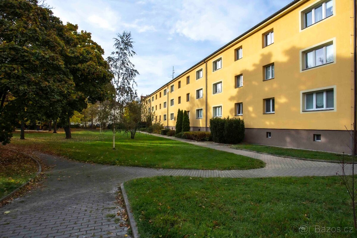 Prodej bytu 3+1 - 138 m² - Višňovka – Pardubice - 20