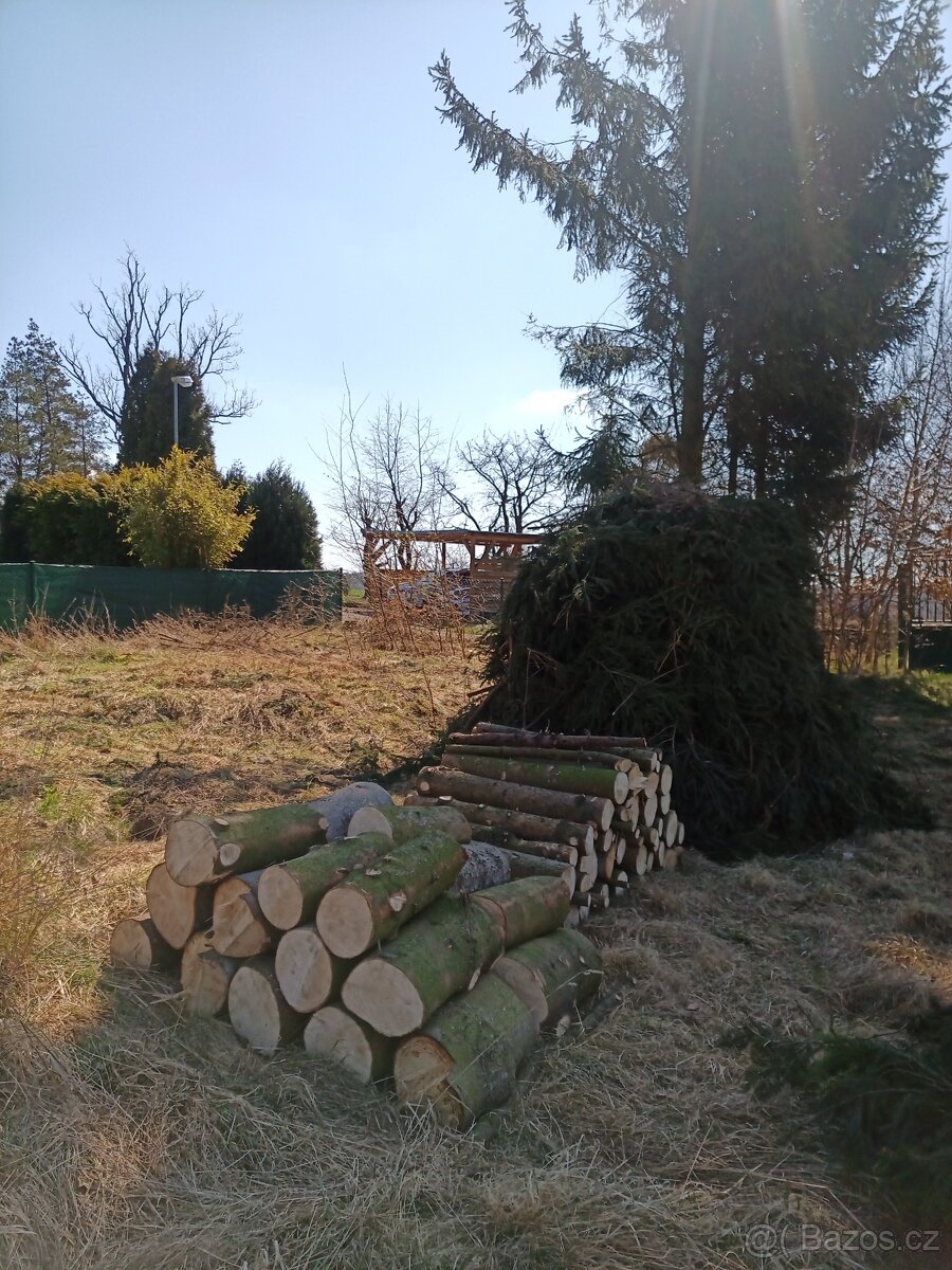 Údržba zahrad, lesů, domů i bytů - hodinový manžel - 20