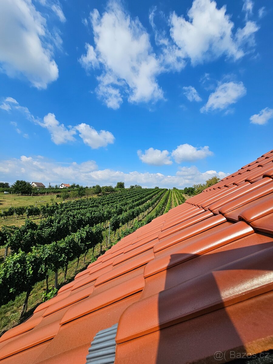 Prodej kouzelného vinného sklepa v srdci vinic - 20