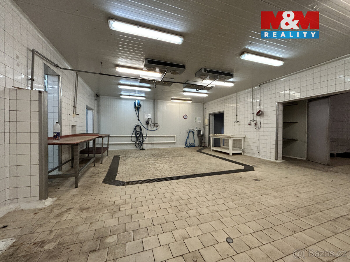 Pronájem výrobního objektu, 2400 m², Litenčice - 20