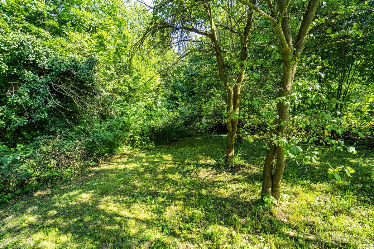 Skalsko, prodej roubenky o zast. pl. 135 m2 na pozemcích 3. - 20