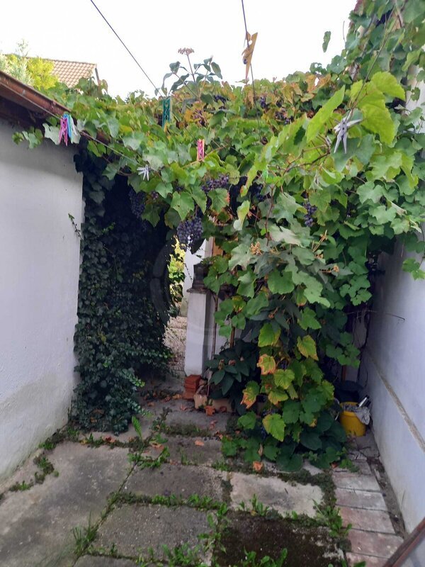 PRODEJ RODINNÉHO DOMU, POTOČNÍ, DOBRÁ VODA U ČB - 20