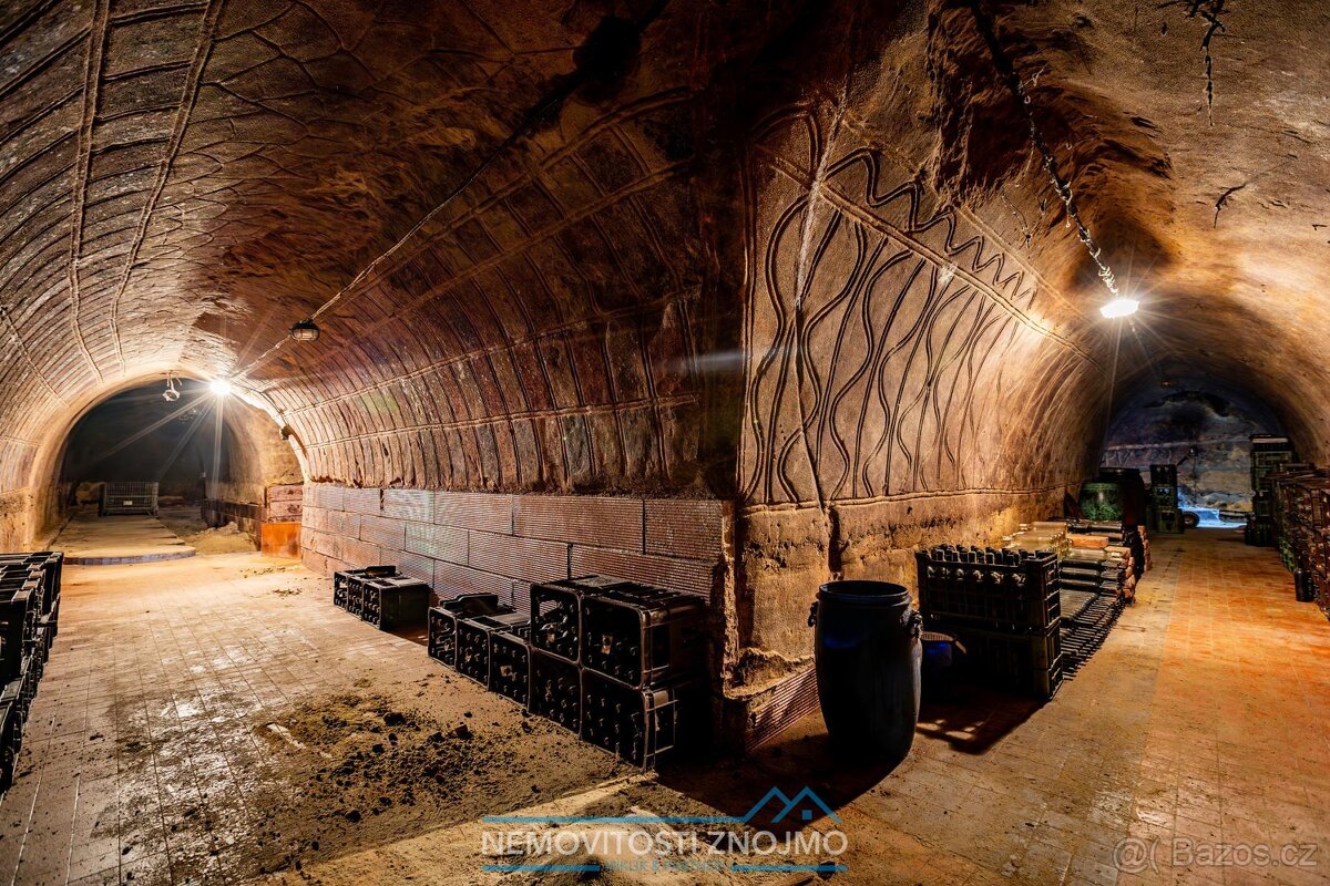 Prodej věhlasné nemovitosti Malovaného sklepa v Šatově, mezi - 20