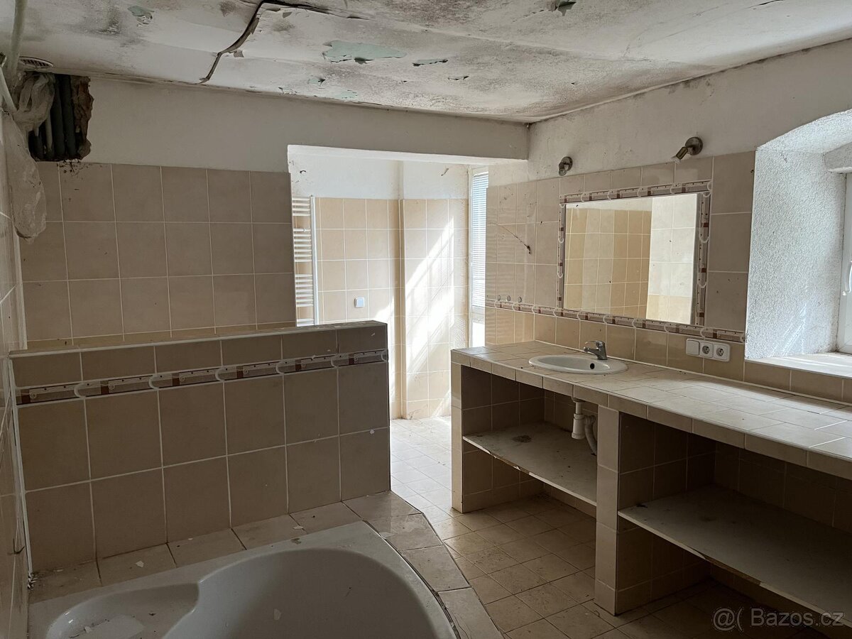 Prodej statku k reko. pozemek 3724 m2 - 20