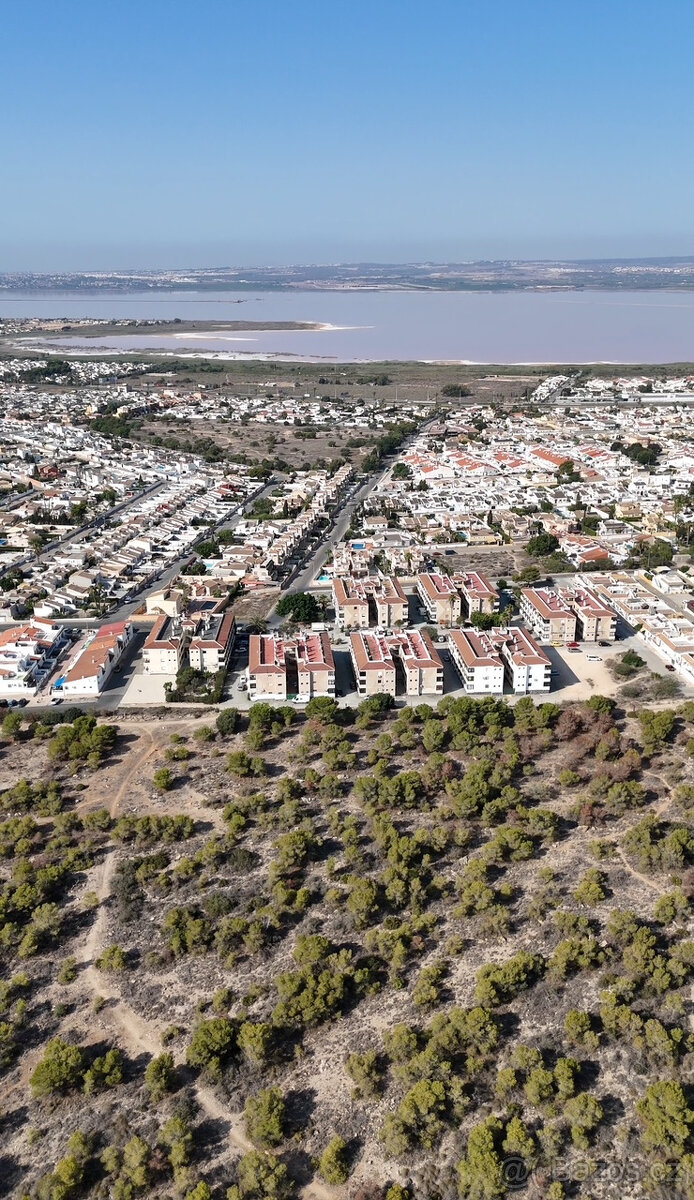 Apartmán ve Španělsku - Torrevieja - La Mata Beach - 20